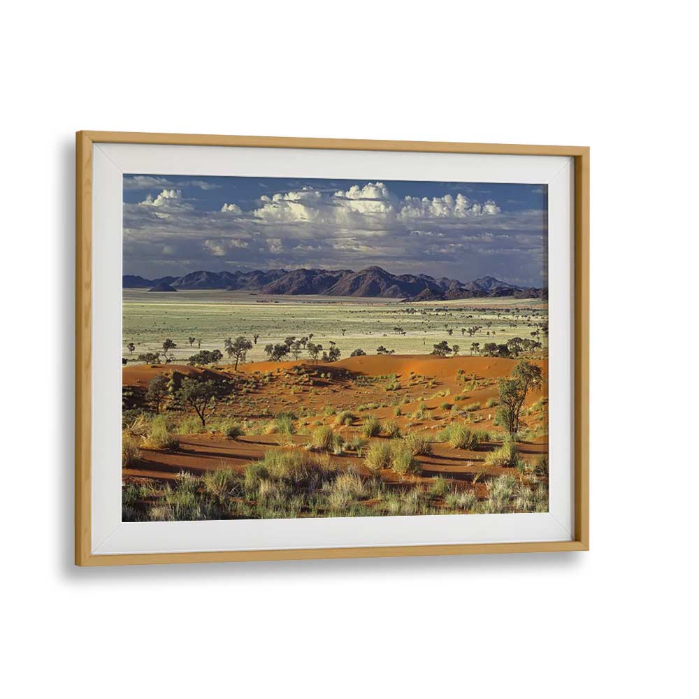 TOK TOKKIE DESERT , PHOTOGRAPHY PRINTS
