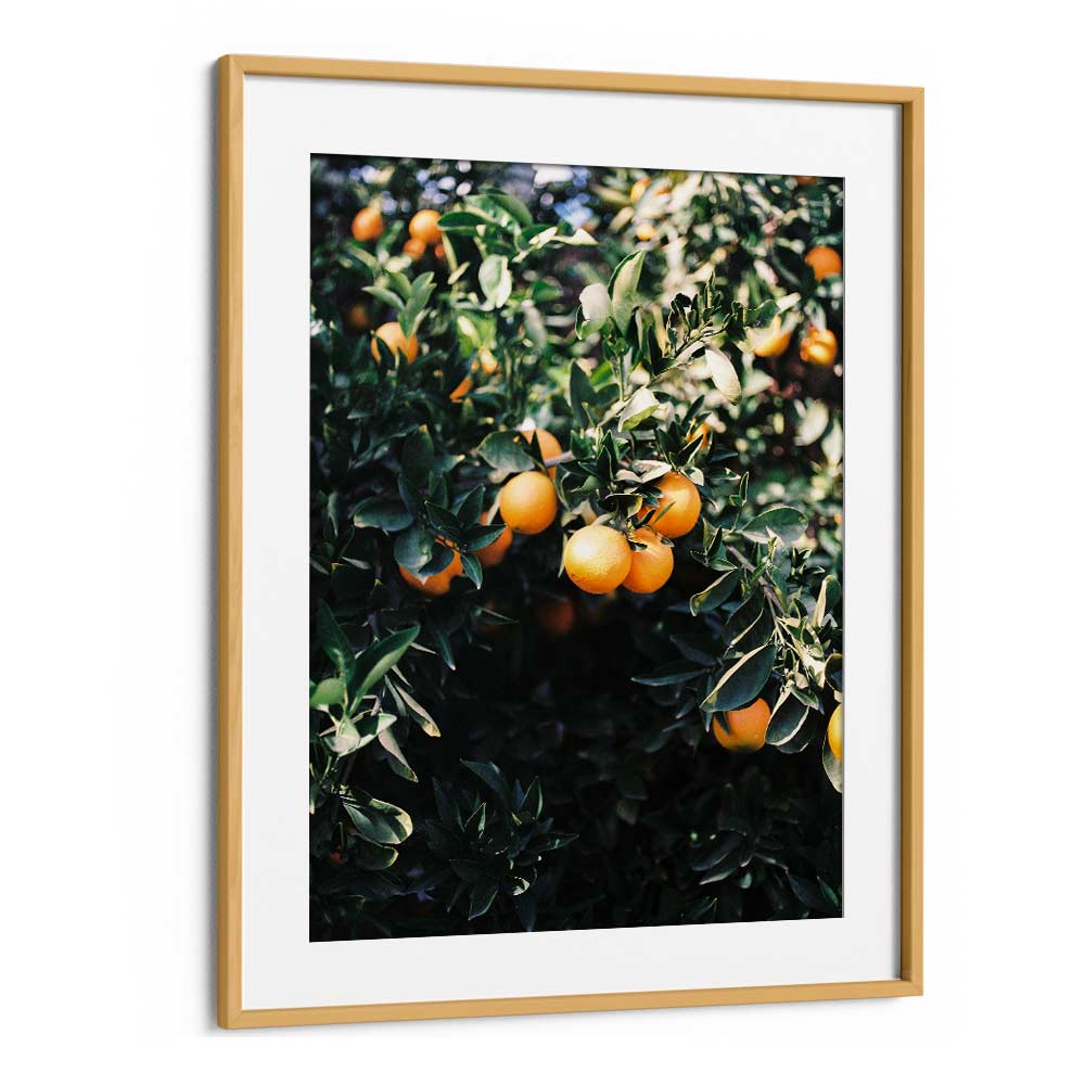 MARRAKESH ORANGES , PHOTOGRAPHY PRINTS