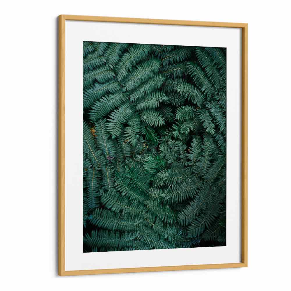 GREEN LEAVES , PHOTOGRAPHY PRINTS