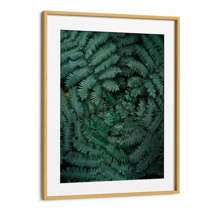 GREEN LEAVES , PHOTOGRAPHY PRINTS