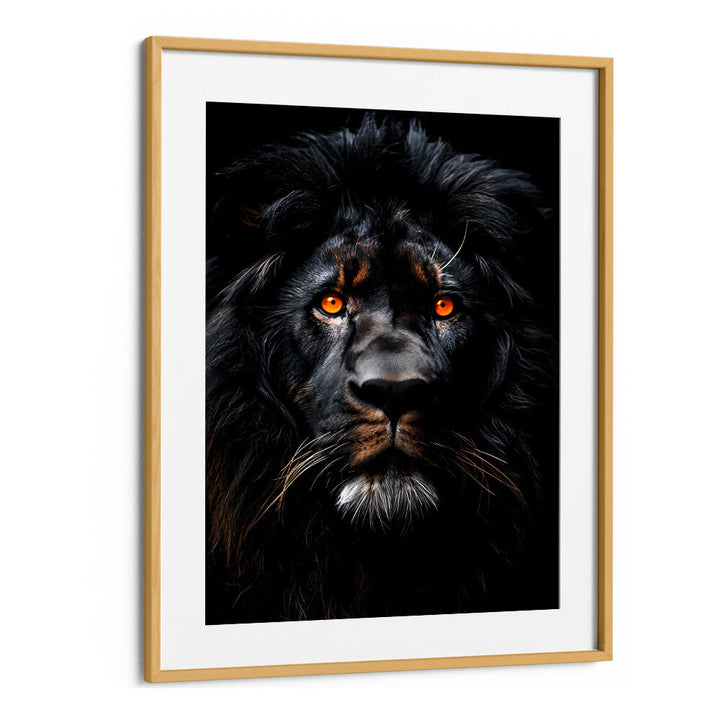 LION BLACK WATERCOLOR ANIMAL ART , WILD LIFE & ANIMAL PAINTINGS