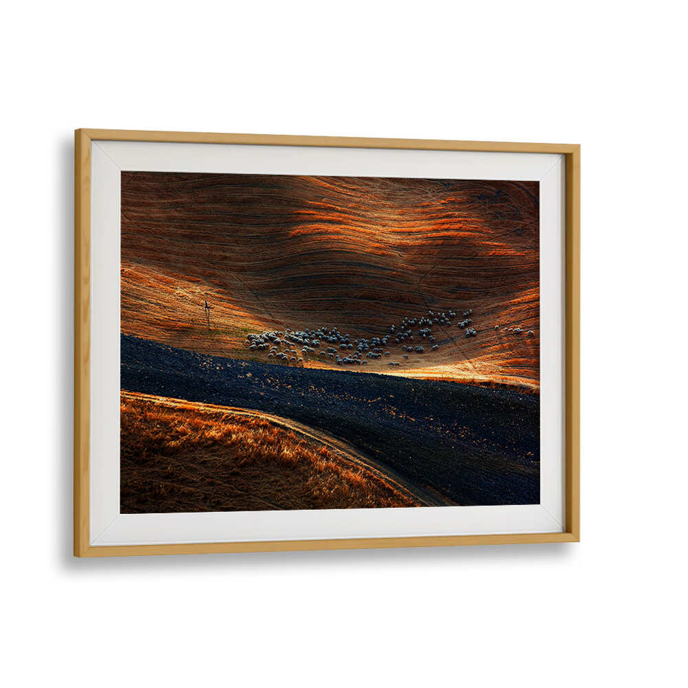 IL GREGGE , PHOTOGRAPHY PRINTS