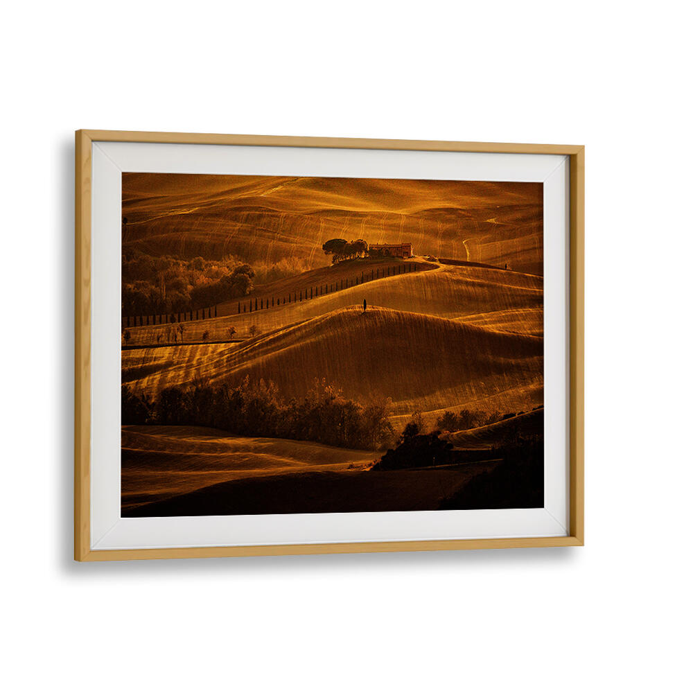 IL CIPRESSO , PHOTOGRAPHY PRINTS