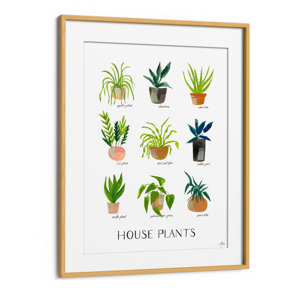 HOUSEPLANTS , FLORAL FLOWER PAINTINGS