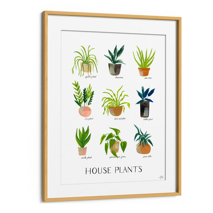 HOUSEPLANTS , FLORAL FLOWER PAINTINGS