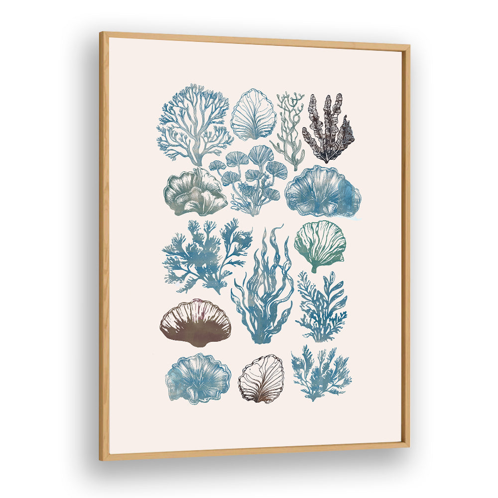 Stunning "A CORAL COLLECTION, BEACH PAINTINGS" showcasing unique coral art, perfect for nature-inspired decor.