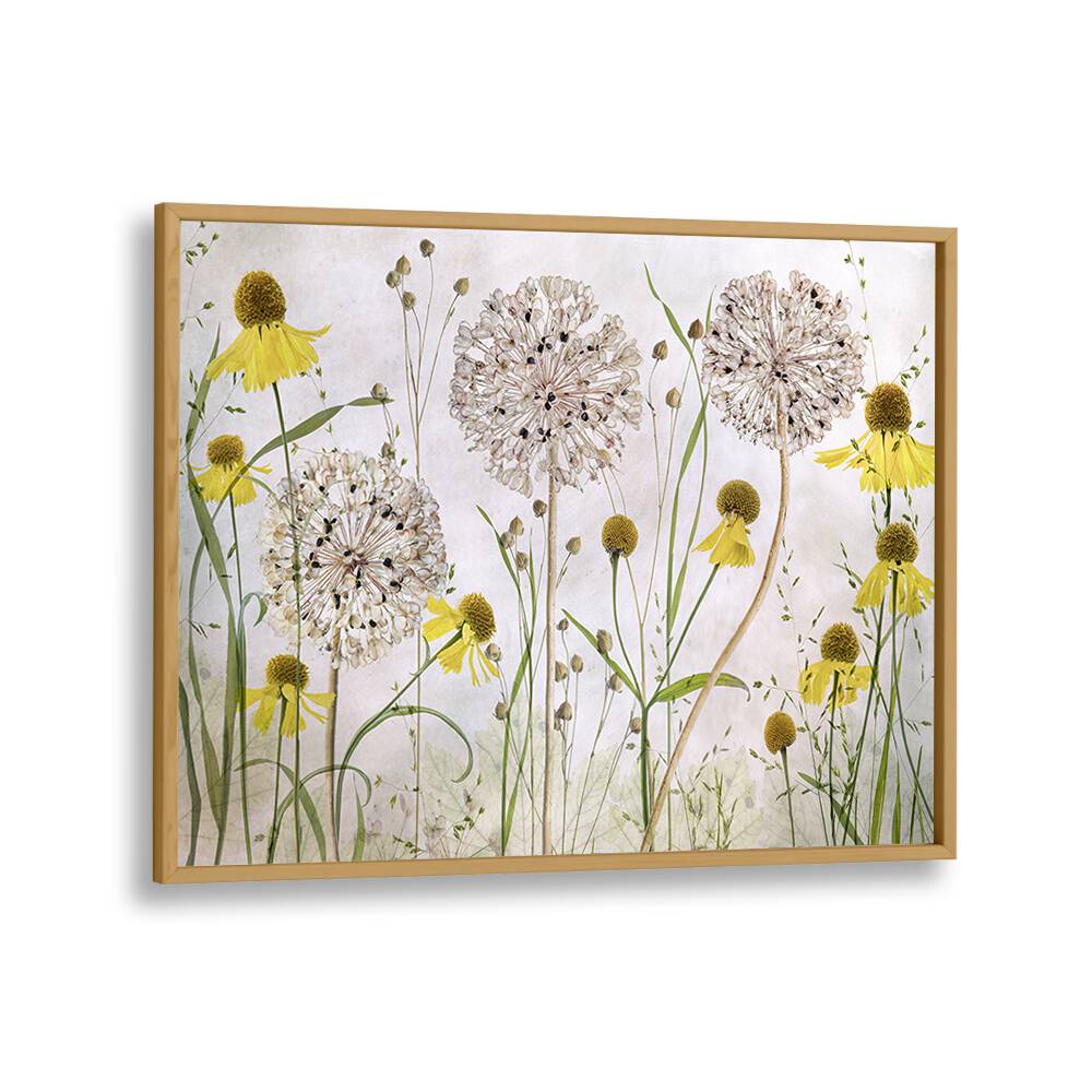 Vibrant ALLIUMS AND HELENIUMS, FLORAL FLOWER PAINTINGS showcasing stunning textures and colors for any space.