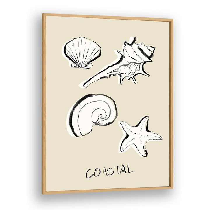 COASTAL SHELLS AND STARFISH