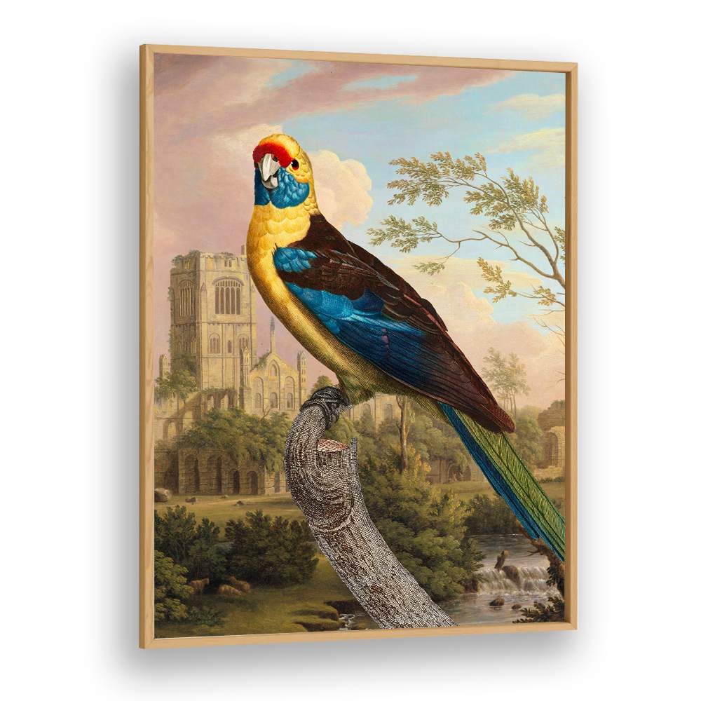 COLORFUL PARROT RUINS