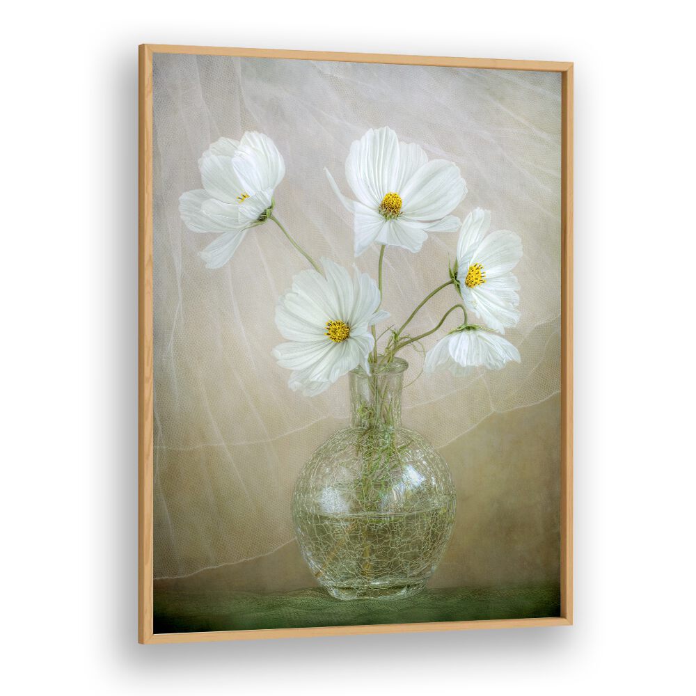 Delicate white flowers in a vase highlight the COSMOS BREEZE, FLORAL FLOWER PAINTINGS for a vibrant indoor atmosphere.