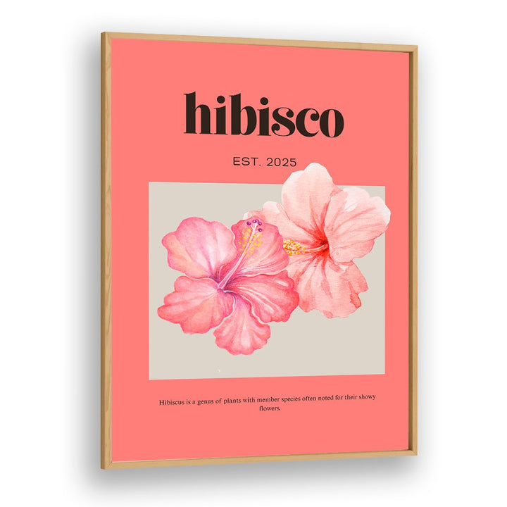DELICATE PINK HIBISCUS