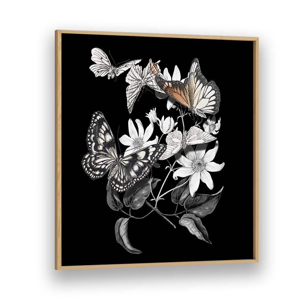 ELEGANT BOTANICAL BUTTERFLIES