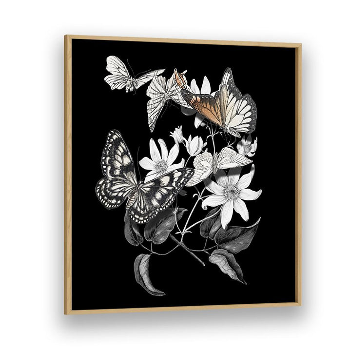 ELEGANT BOTANICAL BUTTERFLIES