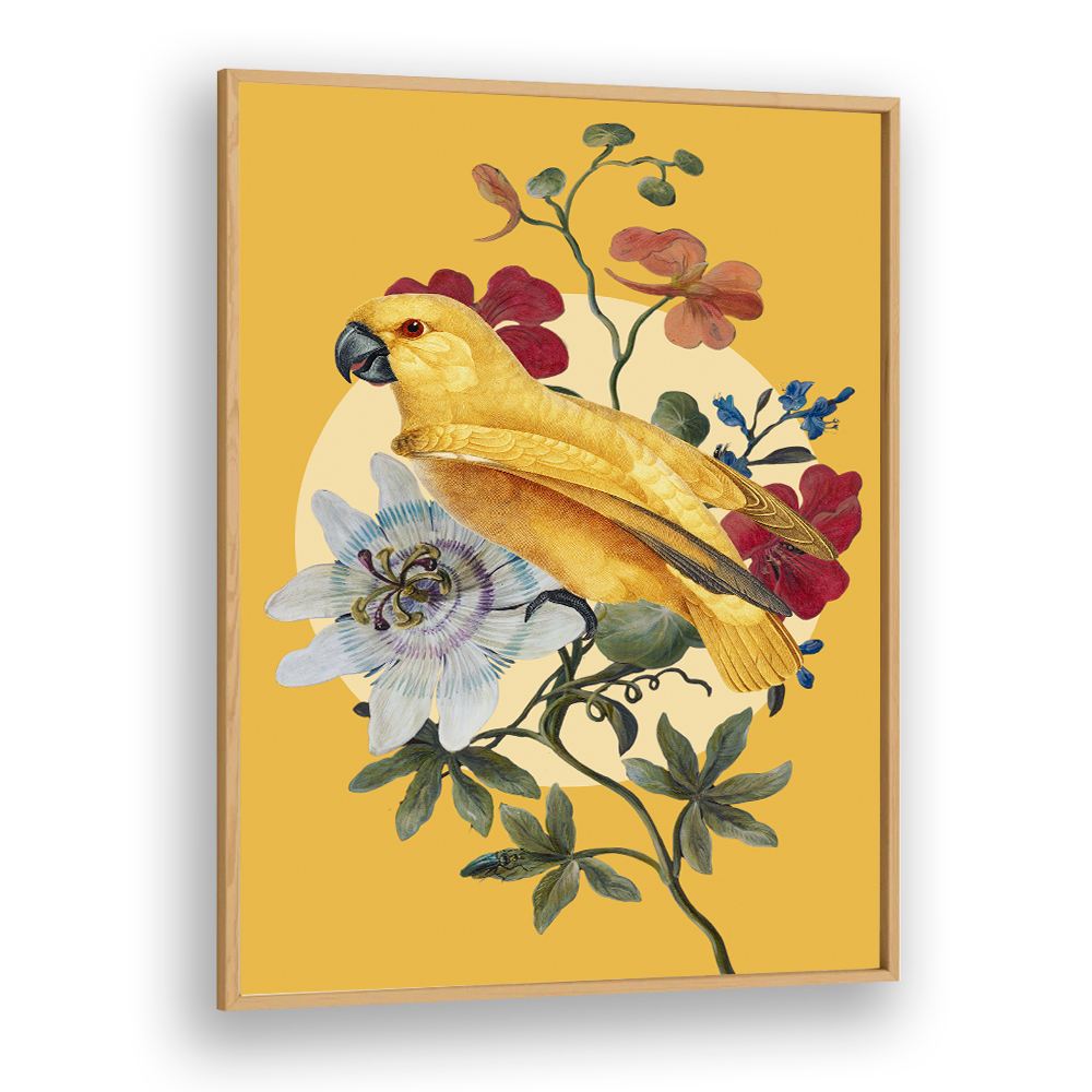 GOLDEN PARROT PASSION FLOWER