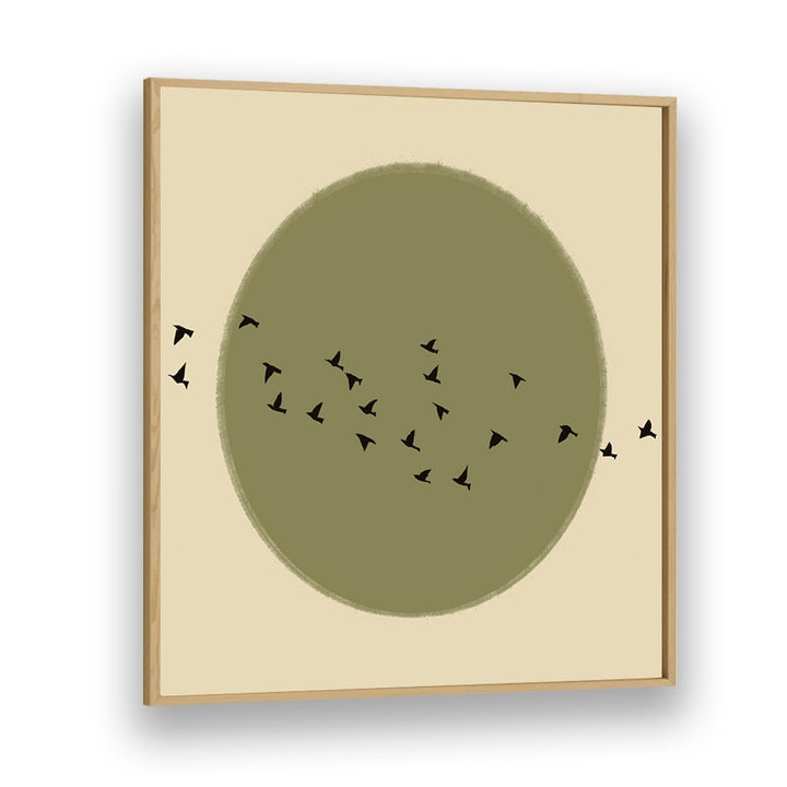 GRACEFUL BIRDS SOARING
