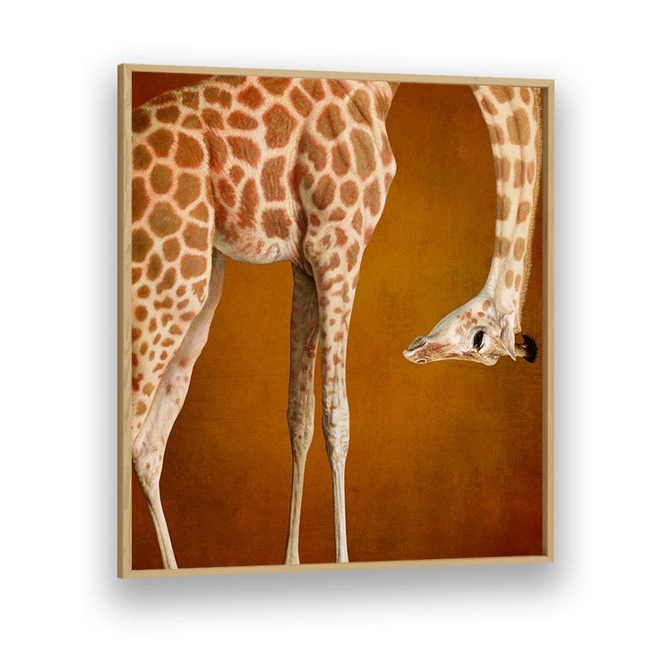 GRACEFUL GIRAFFE PORTRAIT