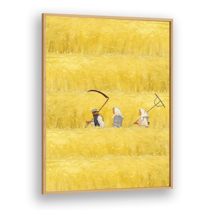 HARVESTING THE GOLDEN FIELD