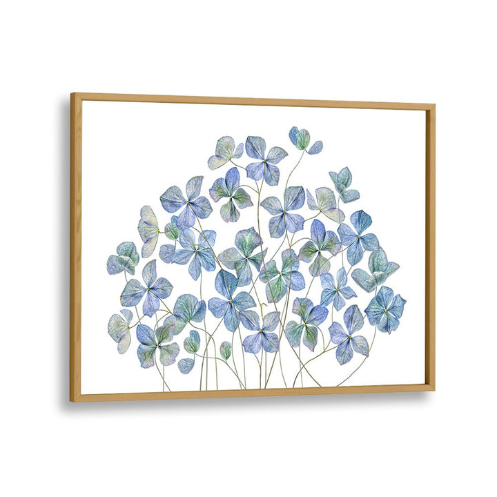 Elegant HYDRANGEA, FLORAL FLOWER PAINTINGS in vibrant hues, perfect for enhancing your home decor charm.