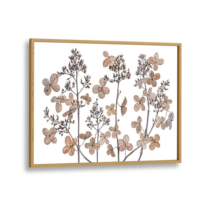 Stunning HYDRANGEA PANICULATA, FLORAL FLOWER PAINTINGS bring elegance and charm to any space, perfect for garden lovers.