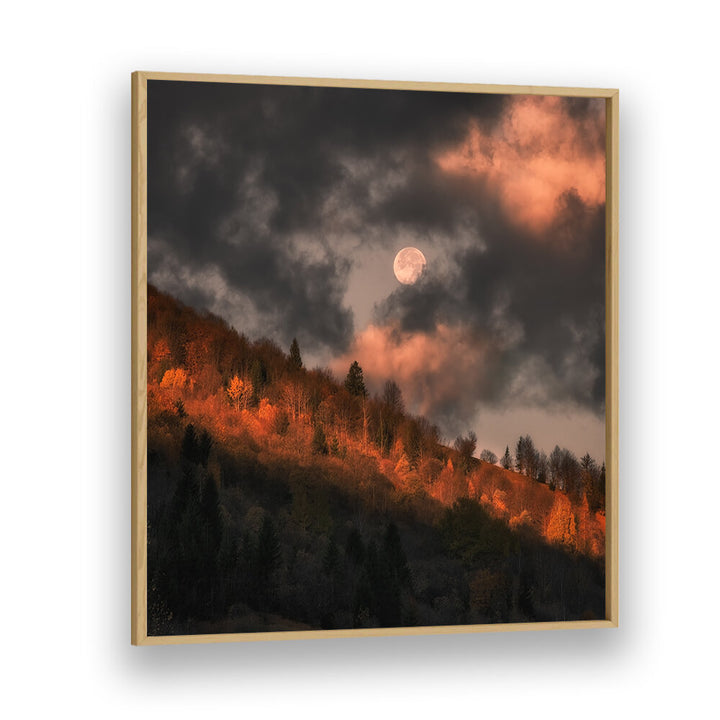 MOON DOESN'T WANT TO GO