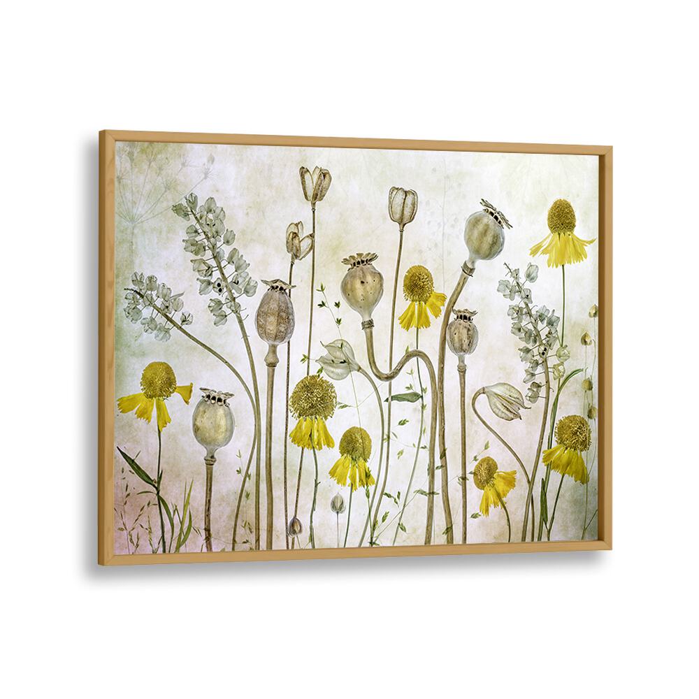 Vibrant Poppies and Helenium floral flower paintings, perfect for home decor and special events.