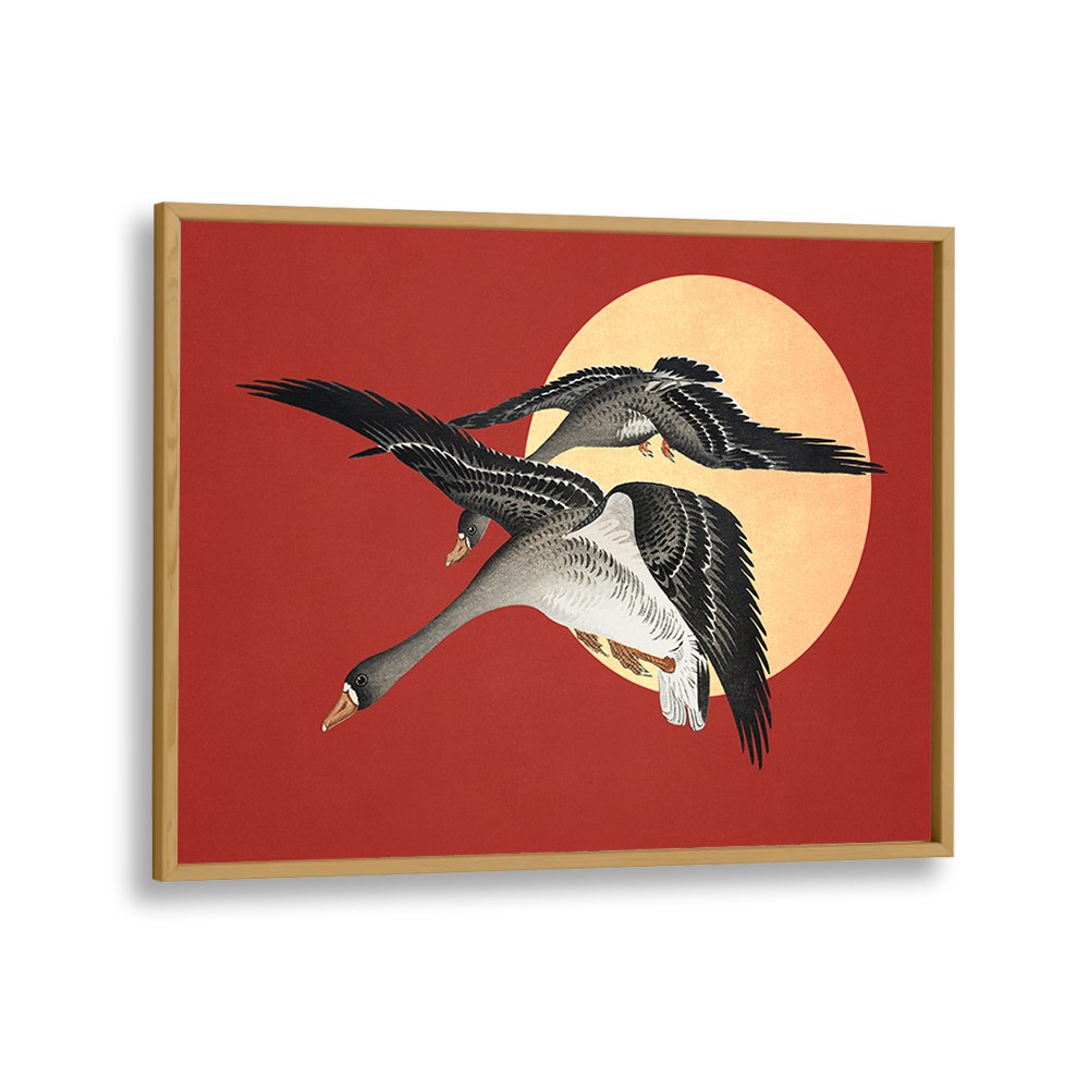 RED SUN GEESE FLIGHT