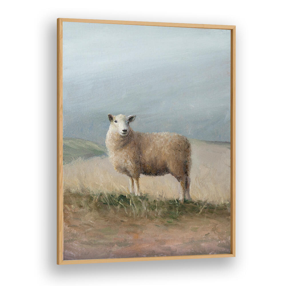 SHEEP STUDY