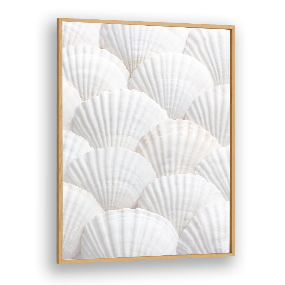 SHELLS III, BEACH PAINTINGS showcase beautiful white shells, perfect for creating a coastal vibe in your home.