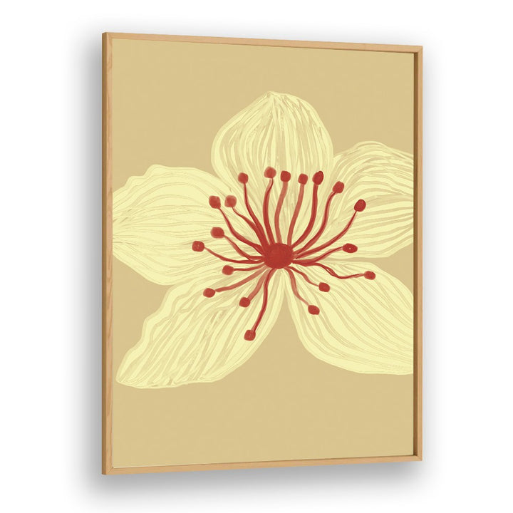 SOFT CREAM BLOSSOM