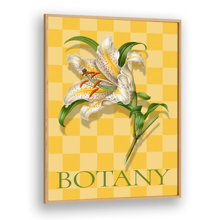 SPOTTED LILY BOTANICAL