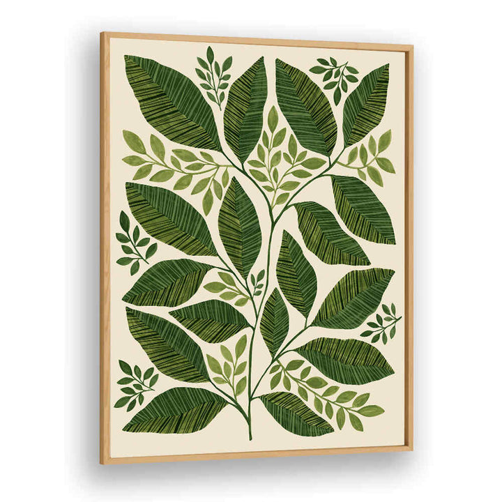 STRIPED LEAVES BRANCH