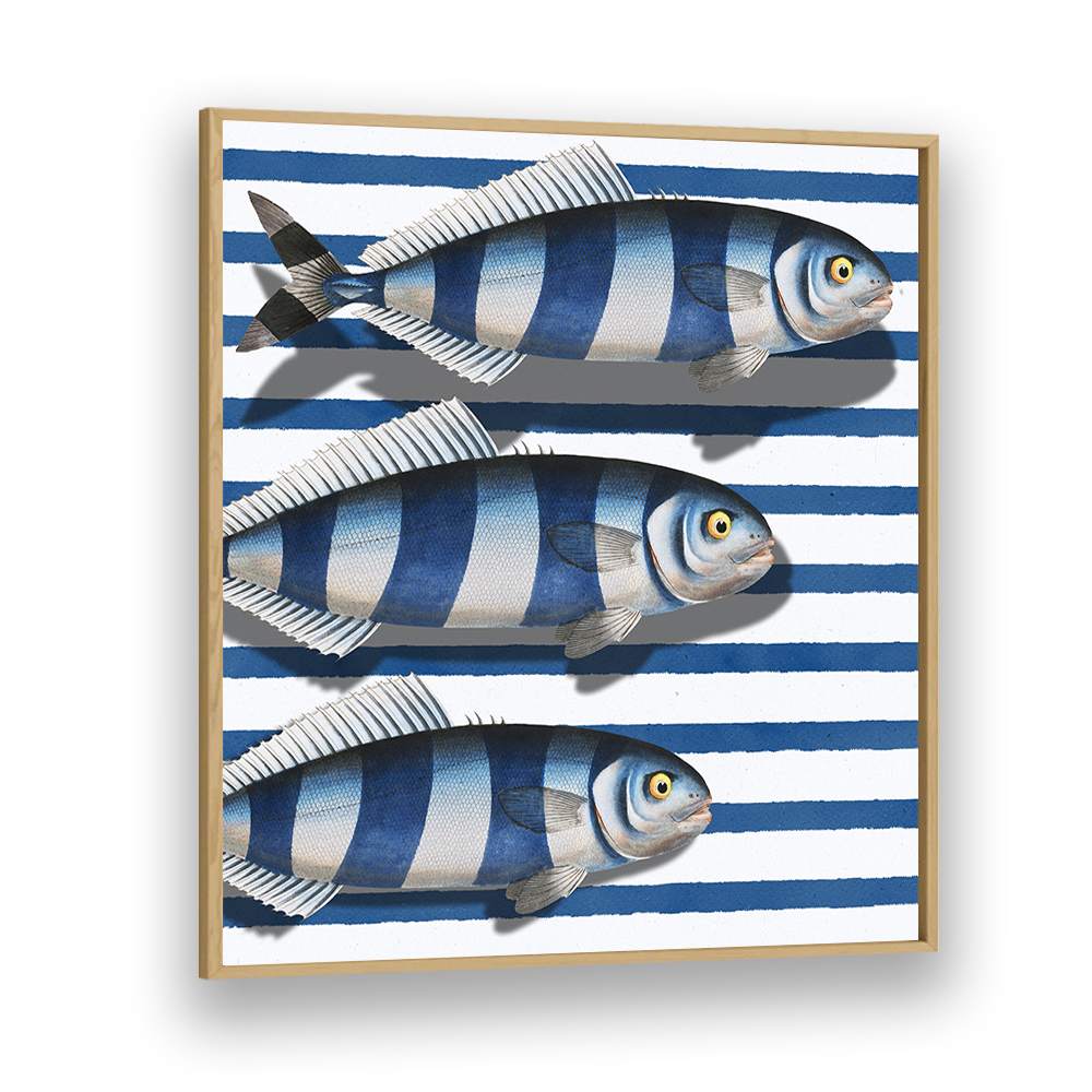 STRIPED OCEAN FISH