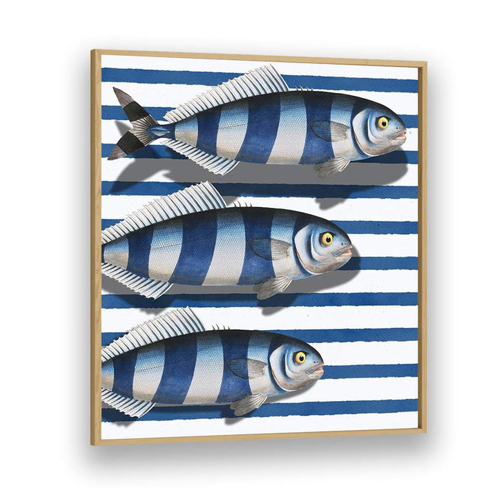 STRIPED OCEAN FISH