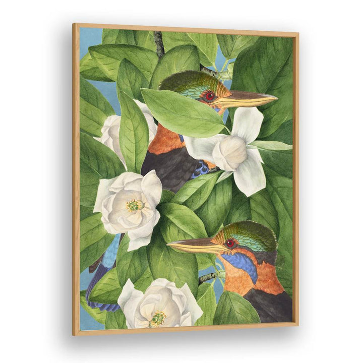 TROPICAL KINGFISHERS MAGNOLIAS