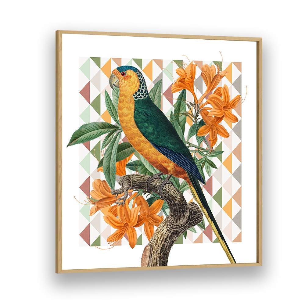 VIBRANT PARROT ILLUSTRATION