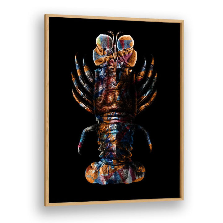 VIBRANT SPINY LOBSTER
