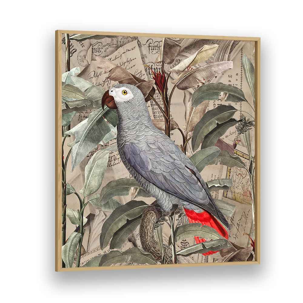 VINTAGE TROPICAL GREY PARROT