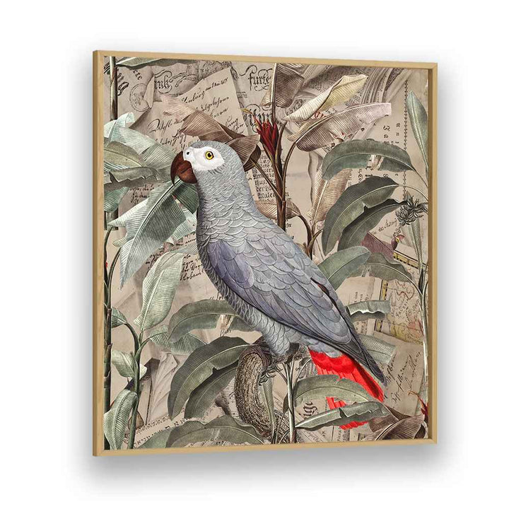 VINTAGE TROPICAL GREY PARROT