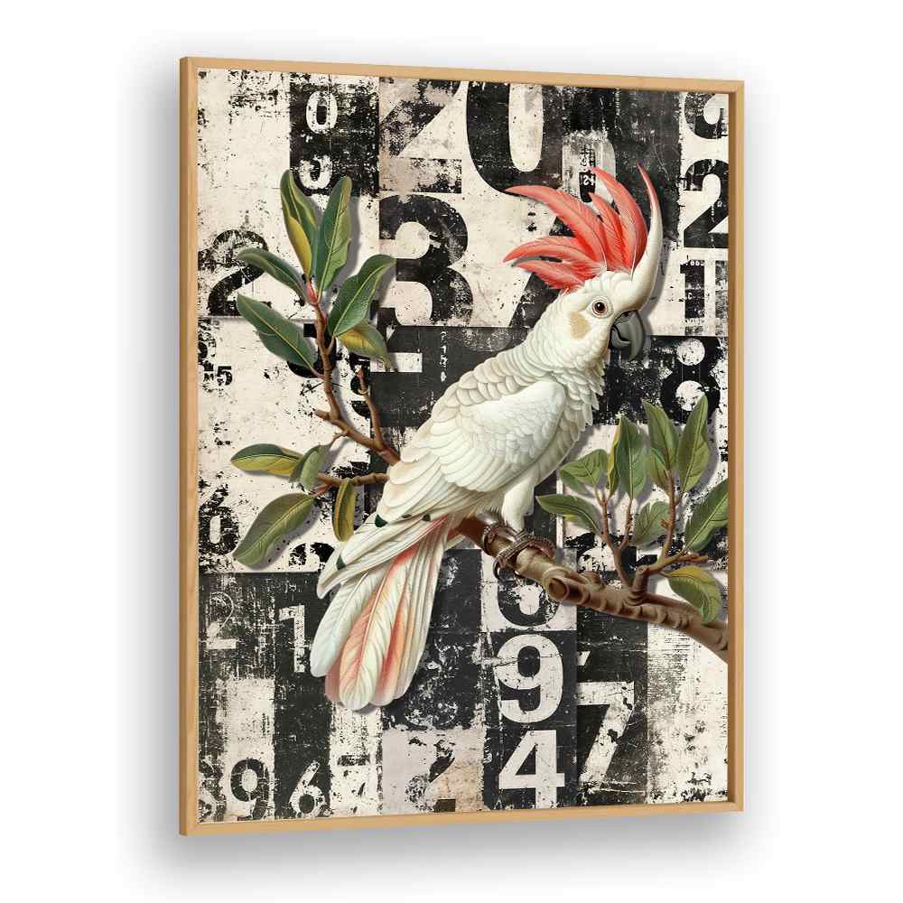 WHITE COCKATOO GRUNGE NUMBERS