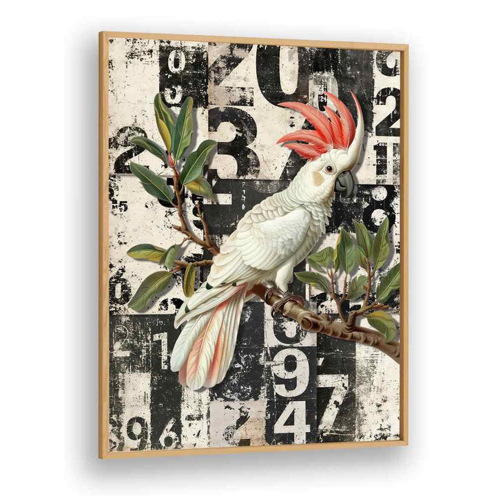 WHITE COCKATOO GRUNGE NUMBERS