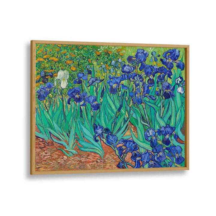 VINCENT VAN GOGH'S IRISES (1889) , VINTAGE PAINTINGS