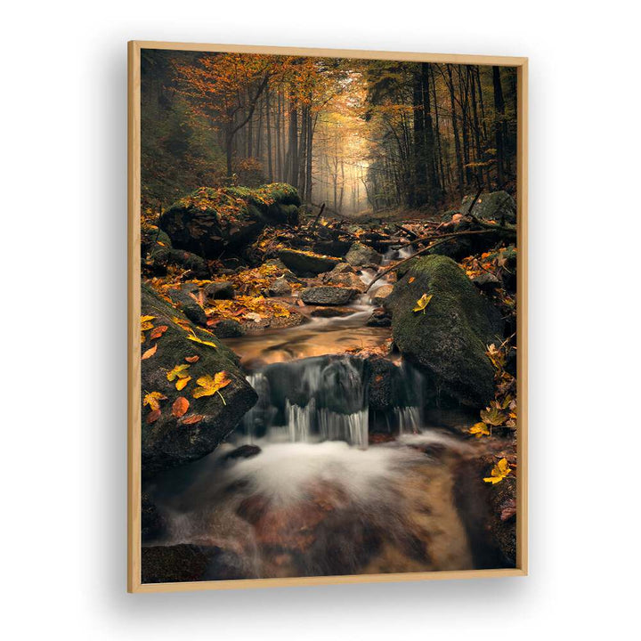 DREAMY AUTUMN BY STEFAN HEFELE , LANDSCAPE PHOTO PRINTS