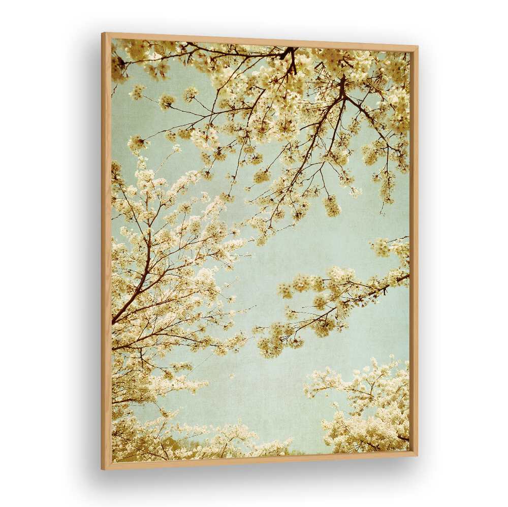 Delicate cherry blossoms framed against a vintage sky in the VINTAGE SKY, FLORAL FLOWER PAINTINGS collection.