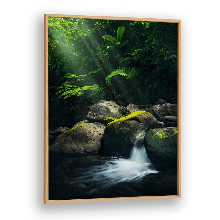 MYSTIC JUNGLE BY STEFAN HEFELE , LANDSCAPE PHOTO PRINTS