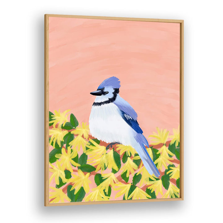 BLUE JAY BIRD , WILDLIFE PAINTINGS , WILDLIFE POSTERS