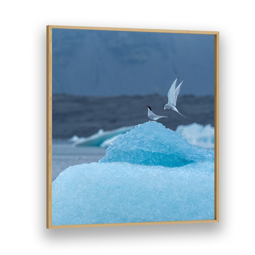 DANCING ON ICE BY MARC PELISSIER , LANDSCAPE PHOTO PRINTS