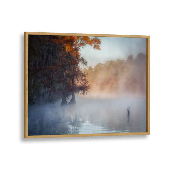 A TRANQUIL MORNING AT CADDO LAKE BY MICHAEL ZHENG , LANDSCAPE PHOTO PRINTS