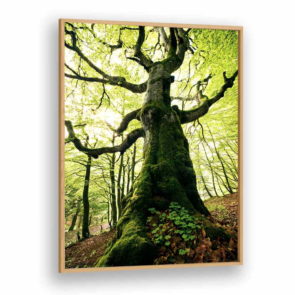 ENT BY STEFAN HEFELE , LANDSCAPE PHOTO PRINTS