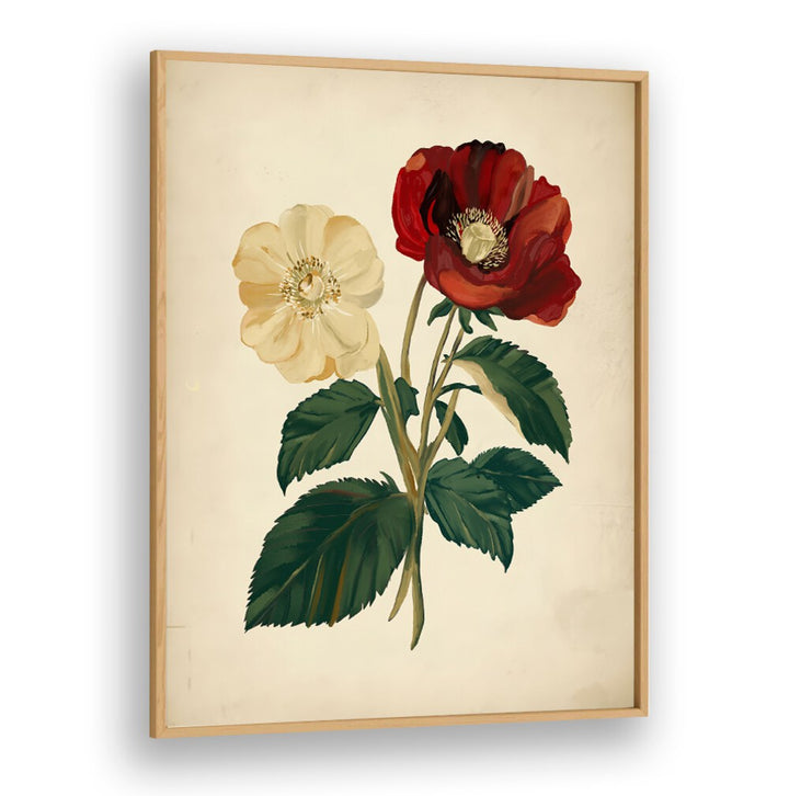 Elegant 18TH CENTURY BOTANICAL , FLORAL FLOWER PAINTINGS showcasing intricate blooms for timeless home decor.