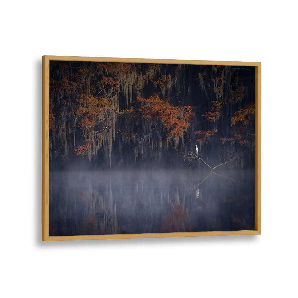 Serene "Misty Morning, Photography Prints" capturing tranquil fog and autumn hues in a landscape setting. Perfect for decor.